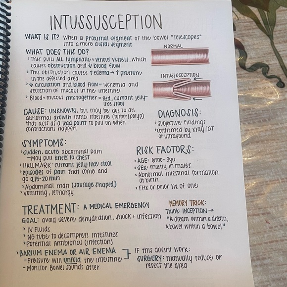 Nursing School Comprehensive Bundle Book. Price is Firm, no offer. - Picture 5 of 5